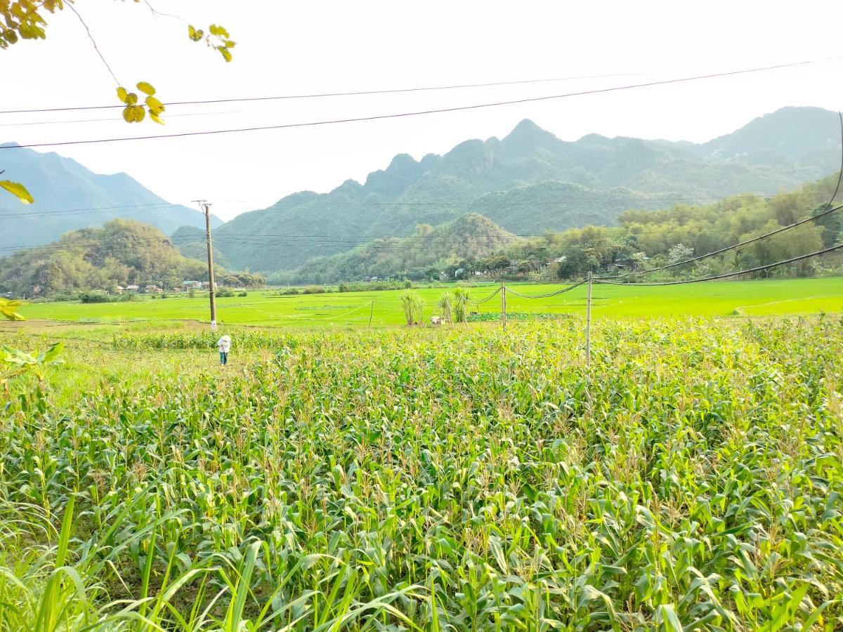 Truong Huy Homestay Майтяу Экстерьер фото